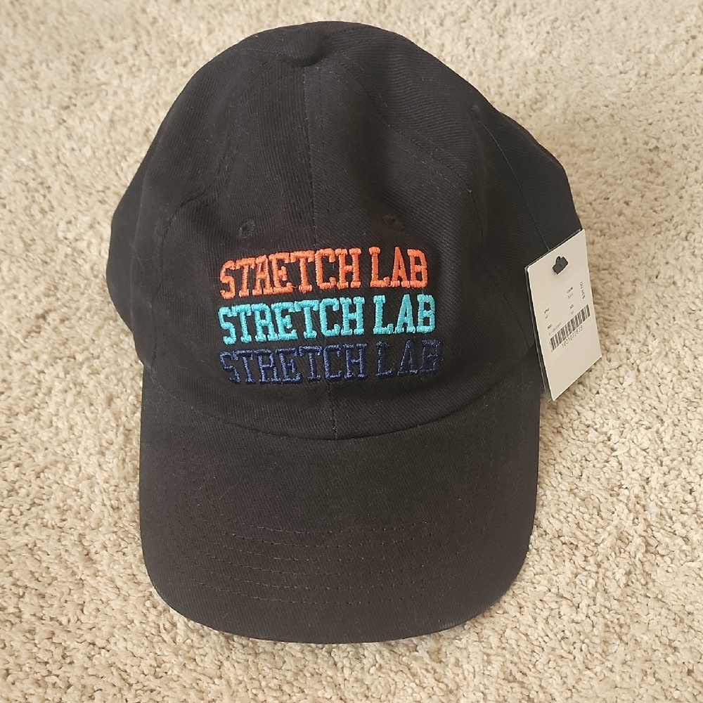 Black Stretch Lab Cap
